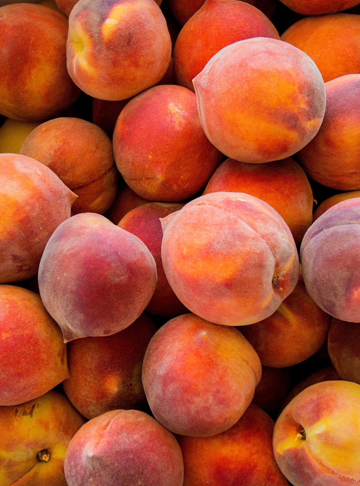 Peach Mania at Apple Annie's